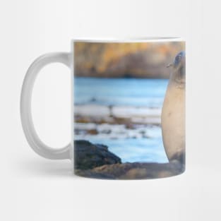 POSSING BABY SEAL Mug